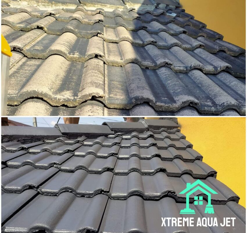 vopsire acoperis din tigle